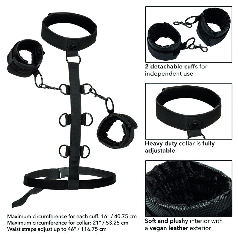 CALEXOTICS - COLLIER DE CONFINEMENT CORPS SANS LIMITES