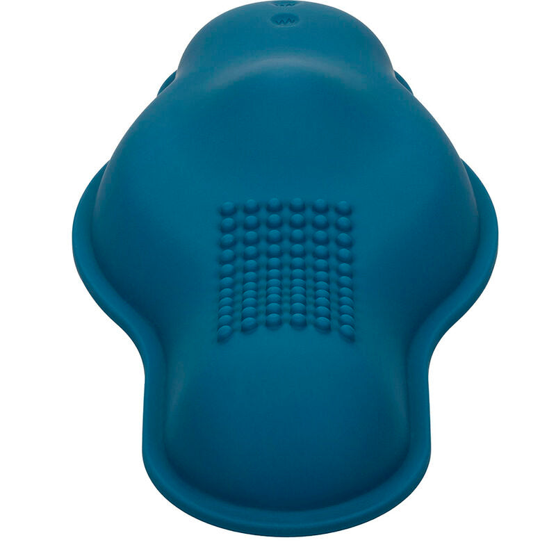 CALEXOTICS - REMOTE CONTROL PILOT MASSAGER DOUBLE MOTOR BLUE