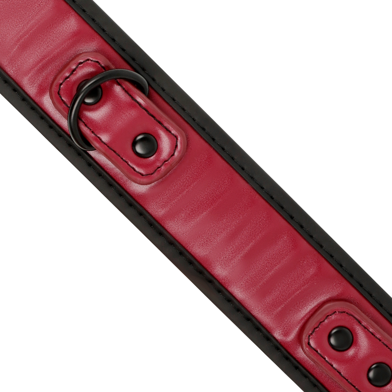 FETISH SUBMISSIVE DARK ROOM - COLLIER CHAÎNE AVEC DOUBLURE EN NÉOPRÈNE