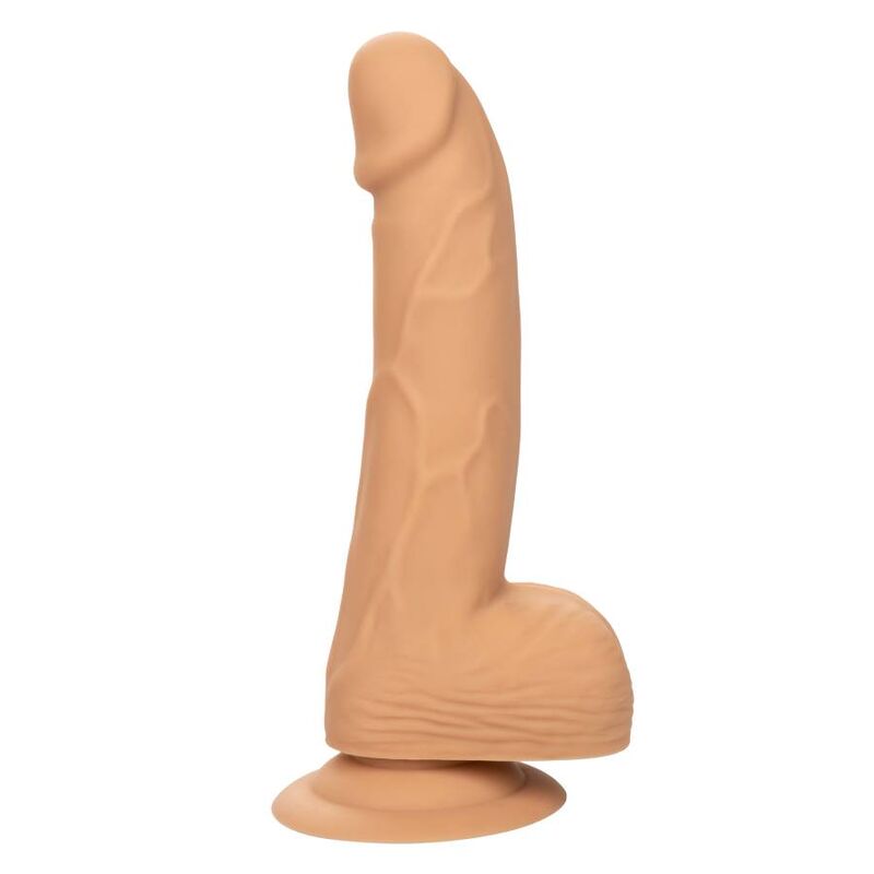 CALEXOTICS - CLOUS SILICONE 15,24 CM CUIR