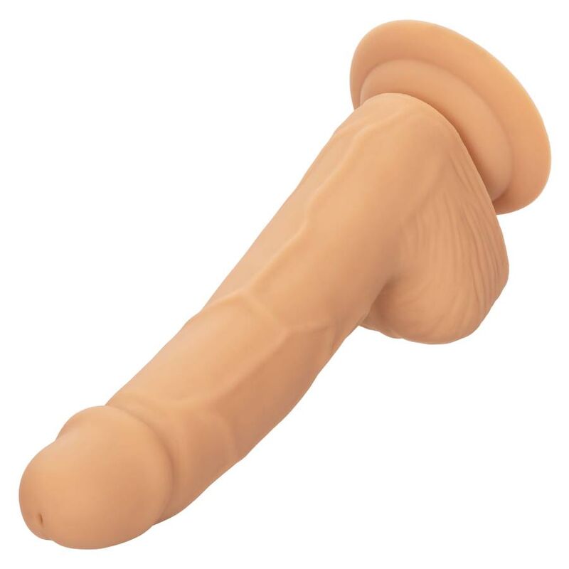 CALEXOTICS - CLOUS SILICONE 15,24 CM CUIR
