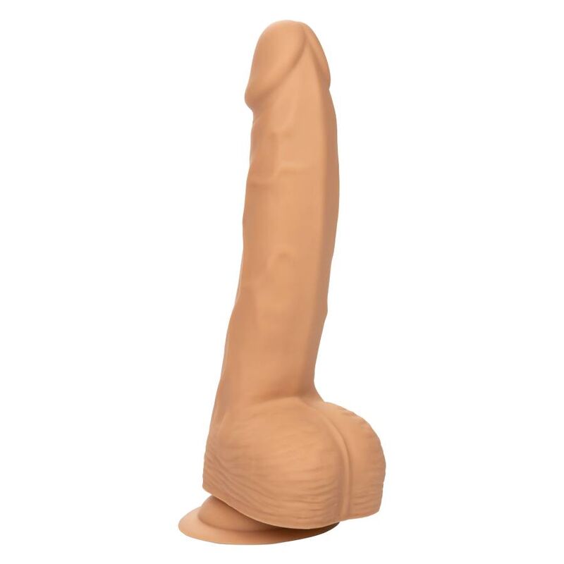CALEXOTICS - CLOUS SILICONE 20,32 CM CUIR