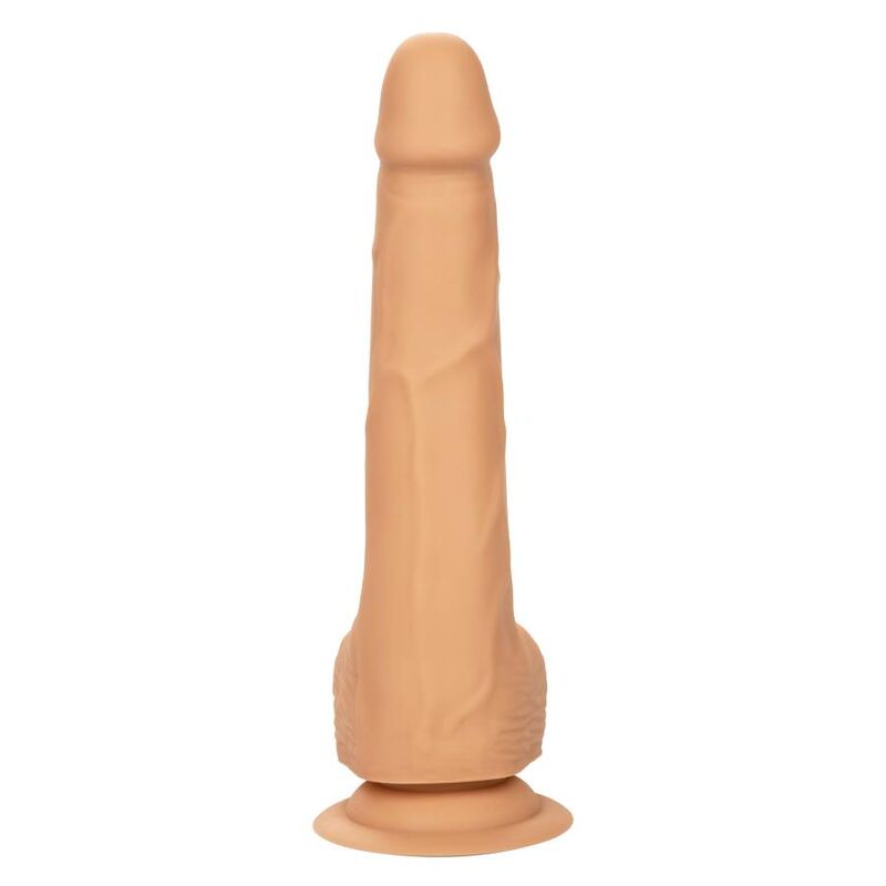 CALEXOTICS - CLOUS SILICONE 20,32 CM CUIR