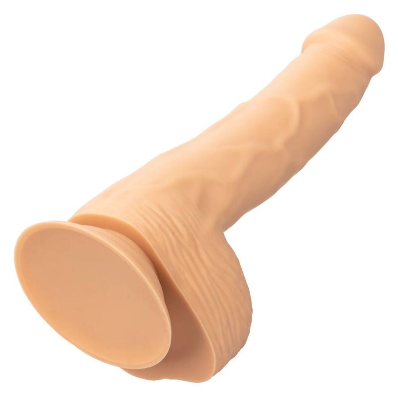 CALEXOTICS - CLOUS SILICONE 20,32 CM CUIR
