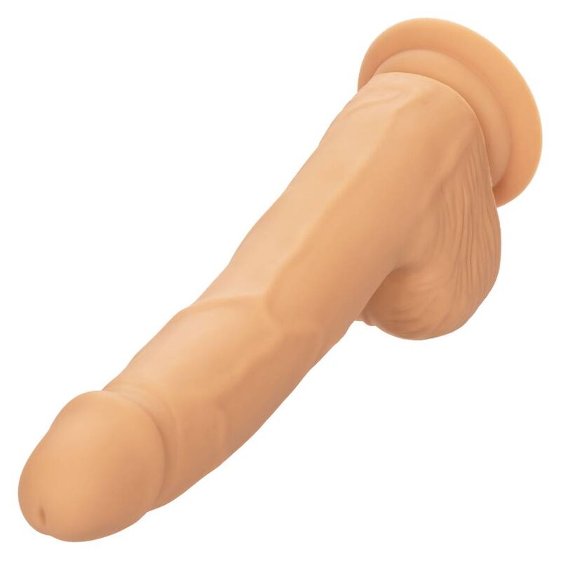 CALEXOTICS - CLOUS SILICONE 20,32 CM CUIR