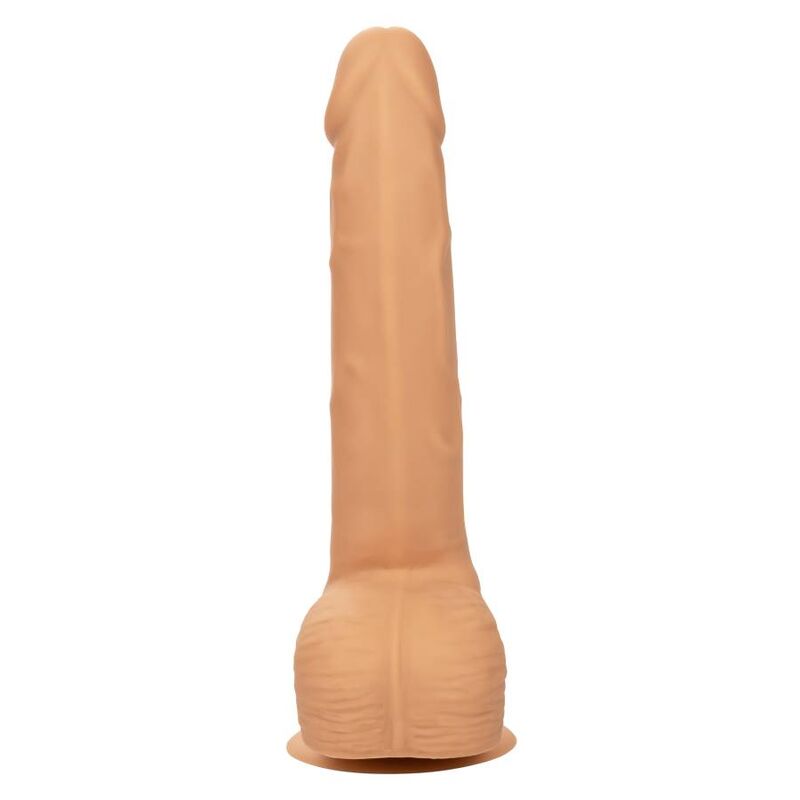 CALEXOTICS - CLOUS SILICONE 20,32 CM CUIR
