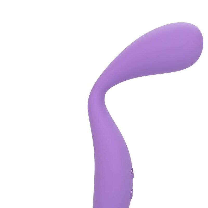 CALEXOTICS - CONTOUR DEMI PURPLE