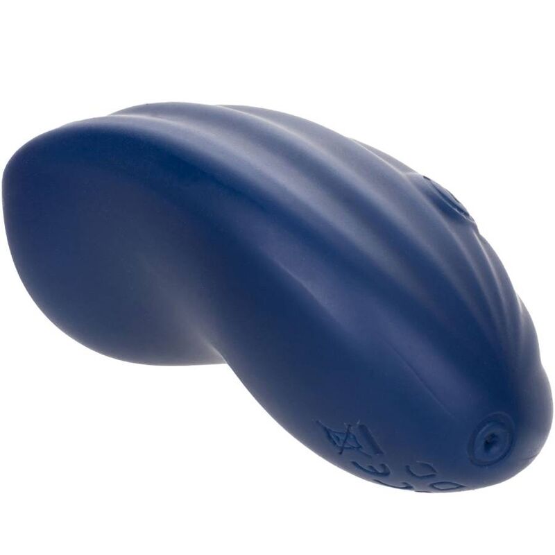 CALEXOTICS - CASHMERE CURVED BLUE VELVET