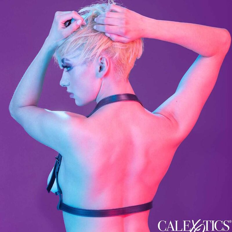 CALEXOTICS - EUPHORIA HARNESS WITH HALTER BUCKLE BLACK