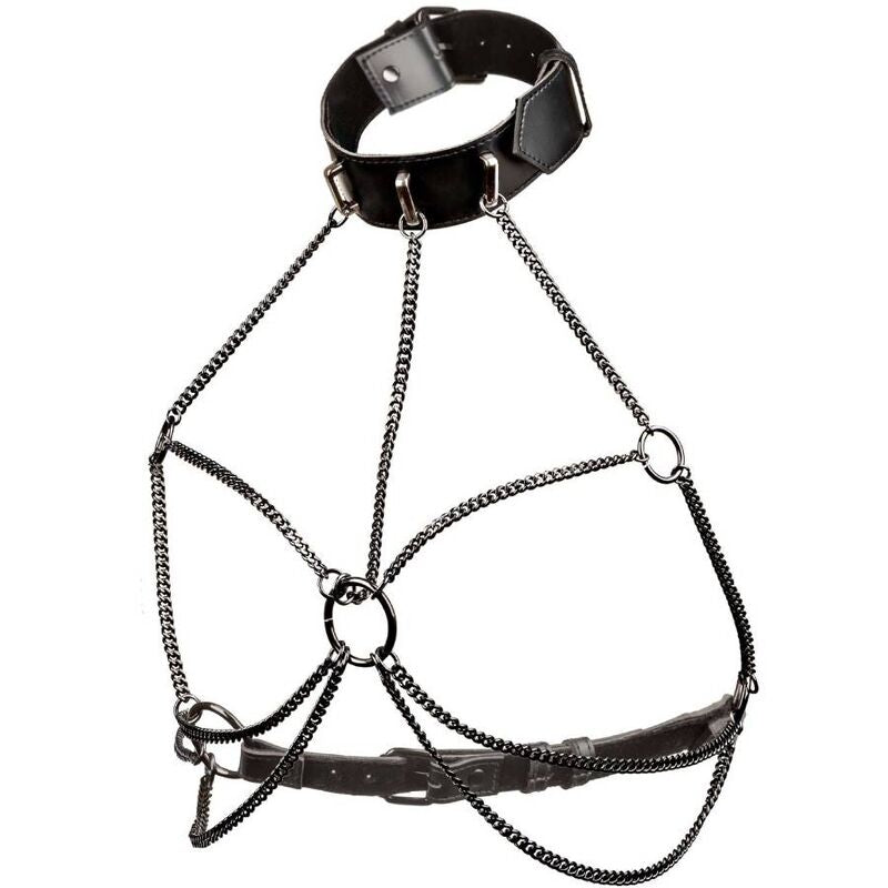 CALEXOTICS - EUPHORIA MULTI CHAIN ​​COLLAR HARNESS PLUS SIZE