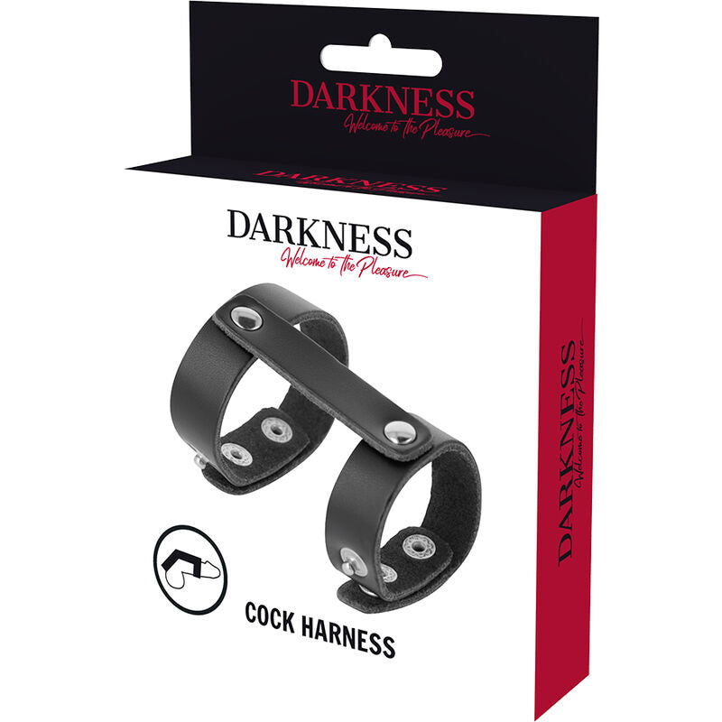 DARKNESS - ANNEAU DE PÉNIS ET TESTICULES EN CUIR RÉGLABLE