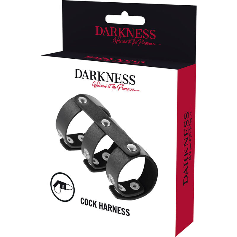 DARKNESS - DOUBLE ANNEAU POUR PÉNIS ET TESTICULES EN CUIR RÉGLABLE